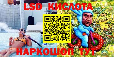 прущие грибы Чебоксары