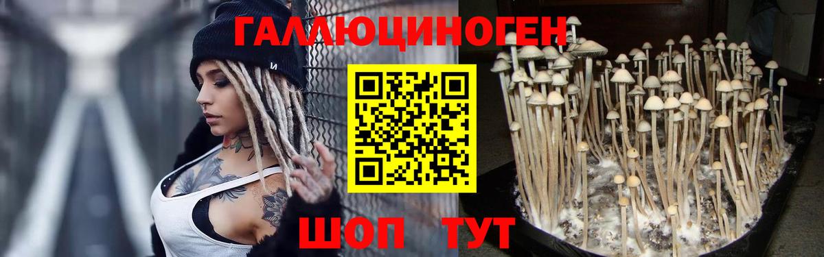 Алейск  Псилоцибиновые грибы ЛСД  Вход с VPN 